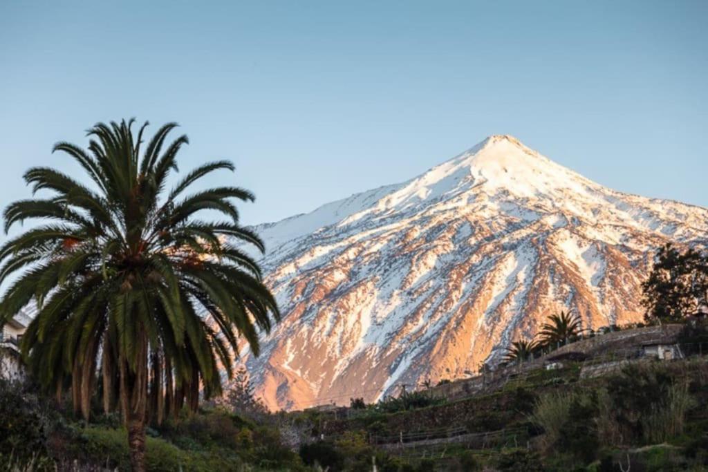 Vacanze Da Sogno San Miguel de Abona Exteriér fotografie